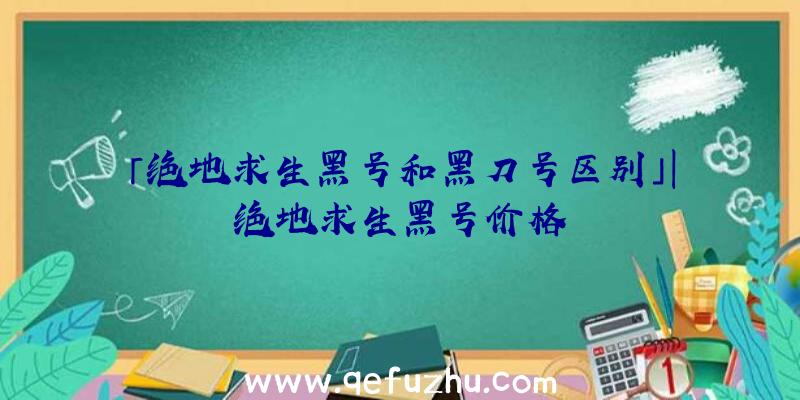 「绝地求生黑号和黑刀号区别」|绝地求生黑号价格